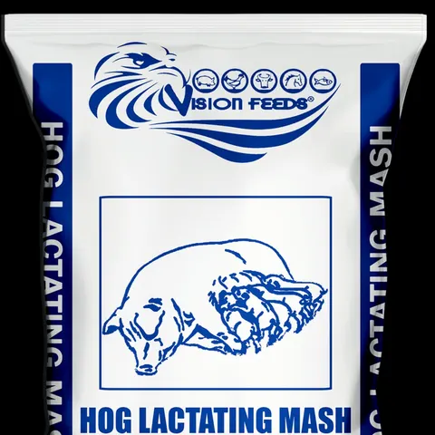 Hog Lactating Mash