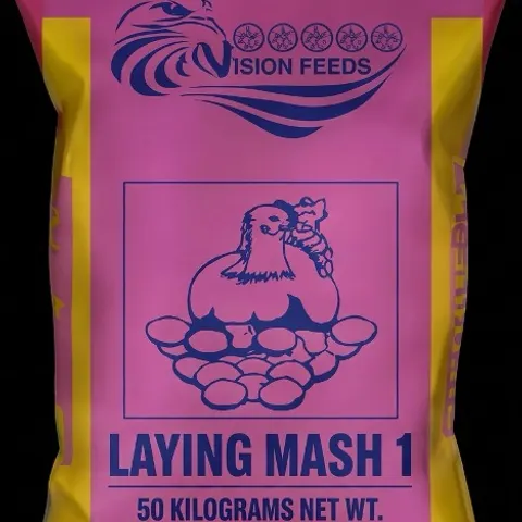 Laying I Premium