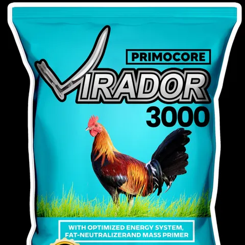Virador 3000 Maintenance
